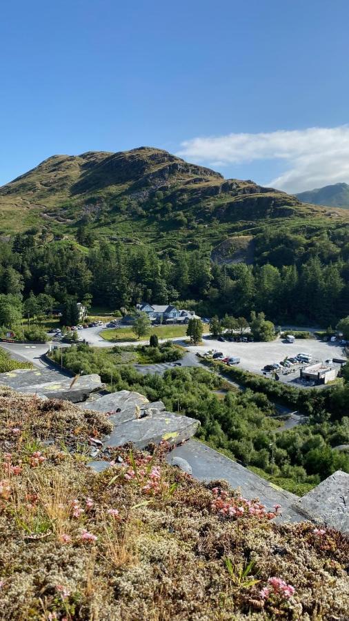 Plas Weunydd Blaenau Ffestiniog Εξωτερικό φωτογραφία